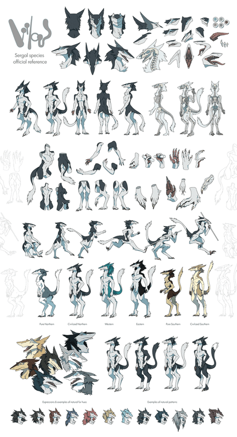 Sergal Anatomy Reference Sheet - Limited Physical Edition